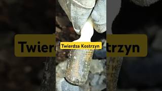 Twierdza Kostrzyn ⚠️💊shortvideo keller urbex history abandoned bayer festungküstrin küstrin [upl. by Baun140]