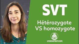 Hétérozygote VS homozygote  SVT  Terminale  Les Bons Profs [upl. by Michell298]