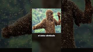 El Origen De Las Abejas Más Agresivas Del Mundo SHORTS [upl. by Nitsej]