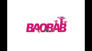 Baobab Group présentation FR [upl. by Clemmy]