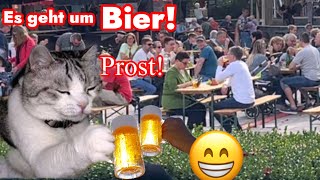 Craft BeerFestival in Cuxhaven [upl. by Yrrot99]