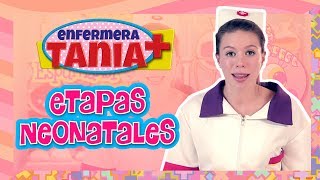 Enfermera Tania  Etapas Neonatales [upl. by Stanislas]