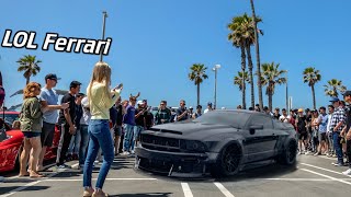 Widebody Mustang Pure Reactions ONLY ONE IN FLORIDA Everyone is Shocked [upl. by Leticia]