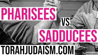 Pharisees vs Sadducees [upl. by Hugon]