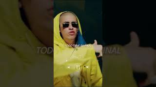 Bad Bunny  Te Bote Estado para whatsapp [upl. by Barrada]