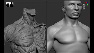 Things I wish KNEW when I stared on Zbrush [upl. by Idrahs]