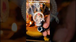 స్వామియే శరణమయ్యప్ప🙏 day13 morning mandala pooja ayyappaswami ayyappan ayyappaswamystatus [upl. by Nord]