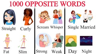 1000 opposite words  opposite words in english  learn opposite words for kids [upl. by Ecinnahs55]