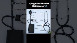 sphygmomanometer and stethoscope 🩺 parts name easy diagram anatomy physiology 🔥 bsc nursing medical [upl. by Yeloc464]