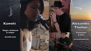 Sail  Awolnation cover with Kawehi IAmKawehi and Alexandre Thollon [upl. by Astrid]