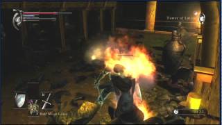 Demons Souls Death 19  Fools Idle [upl. by Gilroy923]