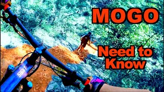 Mogo MtB  An Essential Guide [upl. by Nevets]