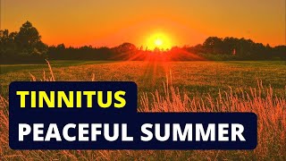 Best Tinnitus Relief Sound Therapy Treatment  Over 1 Hour Of Tinnitus Masking With Crickets [upl. by Maighdiln]