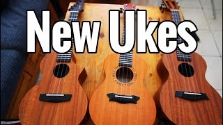 Special Announcement  Enya X1C amp OMS Concert Ukuleles Review [upl. by Weidman920]