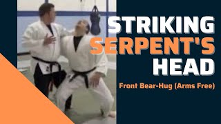 Kenpo Karate  Striking Serpents Head [upl. by Maitund579]