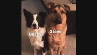 marvel as vines but its only steve and bucky [upl. by Sela]