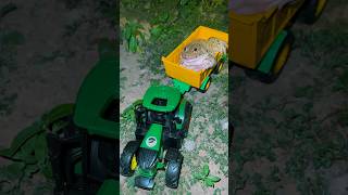 🐸🚜😂A strange frog that can ride a tractor is hilariousshorts [upl. by Nauqan]