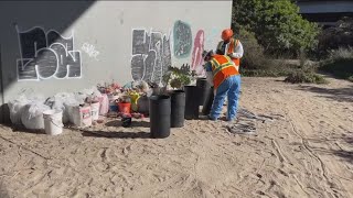 San Diego completes major cleanup of encampments under I5 [upl. by Benzel]