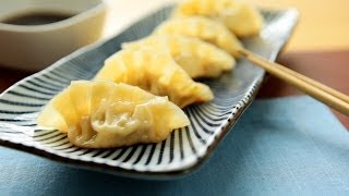 Rezept Gyoza japanische Teigtaschen selber machen [upl. by Ahsi876]