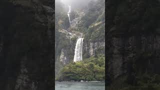 Fiordland National Park travel waterfall newzealandnature naturenewzealandtourism newzealand [upl. by Aim394]