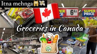 Grocery shopping in Canada  Walmart Canada  Grocery Prices [upl. by Holsworth747]