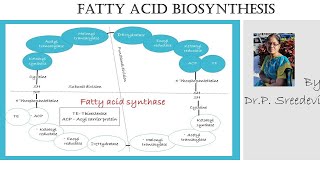 Fatty acid biosynthesis in Tamil [upl. by Trinatte]