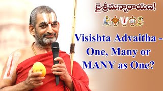 Visishta Advaitha  One Many or Many as One   Chinna Jeeyar Swamiji  Vishishtadvaita  JETWORLD [upl. by Adnalram]