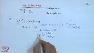 Mod22 Lec22 Molybdenum Enzymes  I [upl. by Ailefo673]