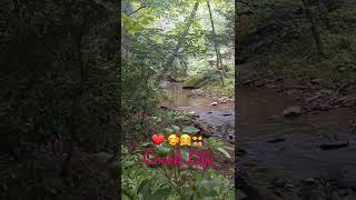 The Creek amp Swimming Hole [upl. by Alyl738]