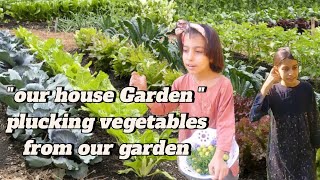 quotour house Gardenquot plucking vegetables for our garden [upl. by Ellak379]