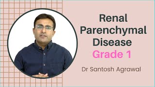 Renal Parenchymal Disease Grade 1 I Causes and treatment I Grade 1 Kidney Failure [upl. by Tirzah]