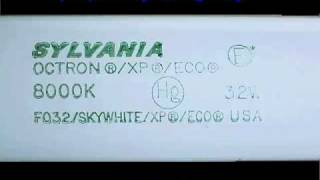 Sylvania F32T8 8000k SkyWhite Fluorescent [upl. by Ahsiya]