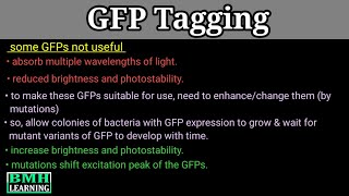 GFP Tagging  Green Fluorescent Protein Tagging  What Is A GFP  GFP Fusion [upl. by Enidualc]