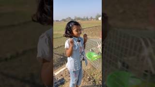 Nawtanki baaz ko mila parot🦜🥰comedy shortfeed funny viralshort ytshorts [upl. by Releehw]