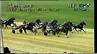 Canberra Pacing Cup Day Sun 31 May 1998 Pt 3 [upl. by Shu]