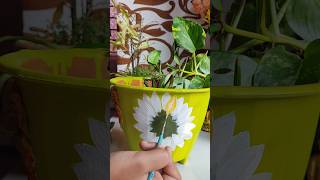 Flower design💮 flower design on pot  art  flower painting ytshots diy potart creative [upl. by Conlen]