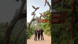 🐦🕊️🦜Birdies 🦜🕊️🐦naturelovers birds chandigarhbirdpark incredibleindia travelvlog [upl. by Rehpatsirhc]