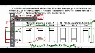 Corrigé détaillé dun exercice de génétique humaine réalisé par Mr Mohsen Messaoudi [upl. by Loveridge]