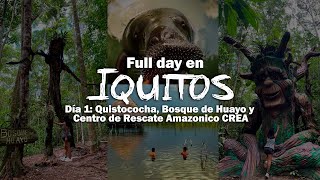 Full day en IQUITOS ZOOLÓGICO QUISTOCOCHA y CENTRO DE RESCATE AMAZÓNICO CREA sin tour [upl. by Oibaf111]