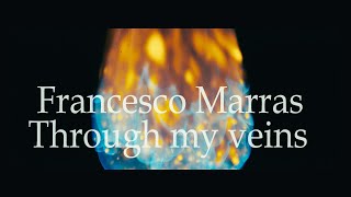 FRANCESCO MARRAS  THROUGH MY VEINS Videoclip [upl. by Hayidah]