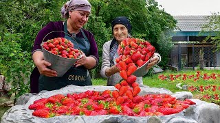 Mix of fresh strawberry compotes and delicious recipes from the village [upl. by Emmet]