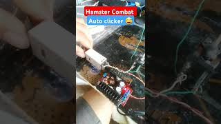 hamstercombat token ba kamo diy hamsterkombat hamsters crypto [upl. by Reamy]