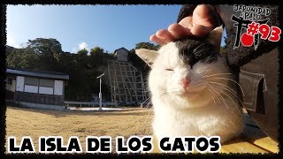 TASHIROJIMA LA ISLA DE LOS GATOS LJP 93 [upl. by Ignace609]