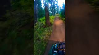 Kodiak 700 woods kodiak oregon pnw metal fun [upl. by Roseanne]