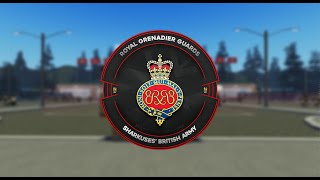 Royal Grenadier Guards  Guarding x Combat ft paapa [upl. by Woodward]