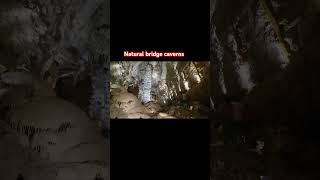 Natural bridge cavernas texas sanantonio usa [upl. by Cud149]