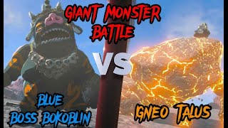 BOSS BOKOBLIN BLUE VS IGNEO TALUS  The Legend of Zelda Tears of the Kingdom [upl. by Carlyn349]