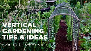 VERTICAL GARDENING TIPS amp IDEAS Why and how to add VERTICAL SPACE to your garden for EVERY BUDGET [upl. by Hole]