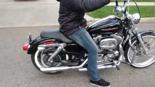 2007 Harley Davidson Sportster 1200 for sale [upl. by Nomead63]