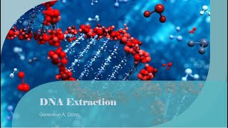 DNA Extraction [upl. by Eihcra960]